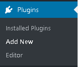 Plugin > Add New