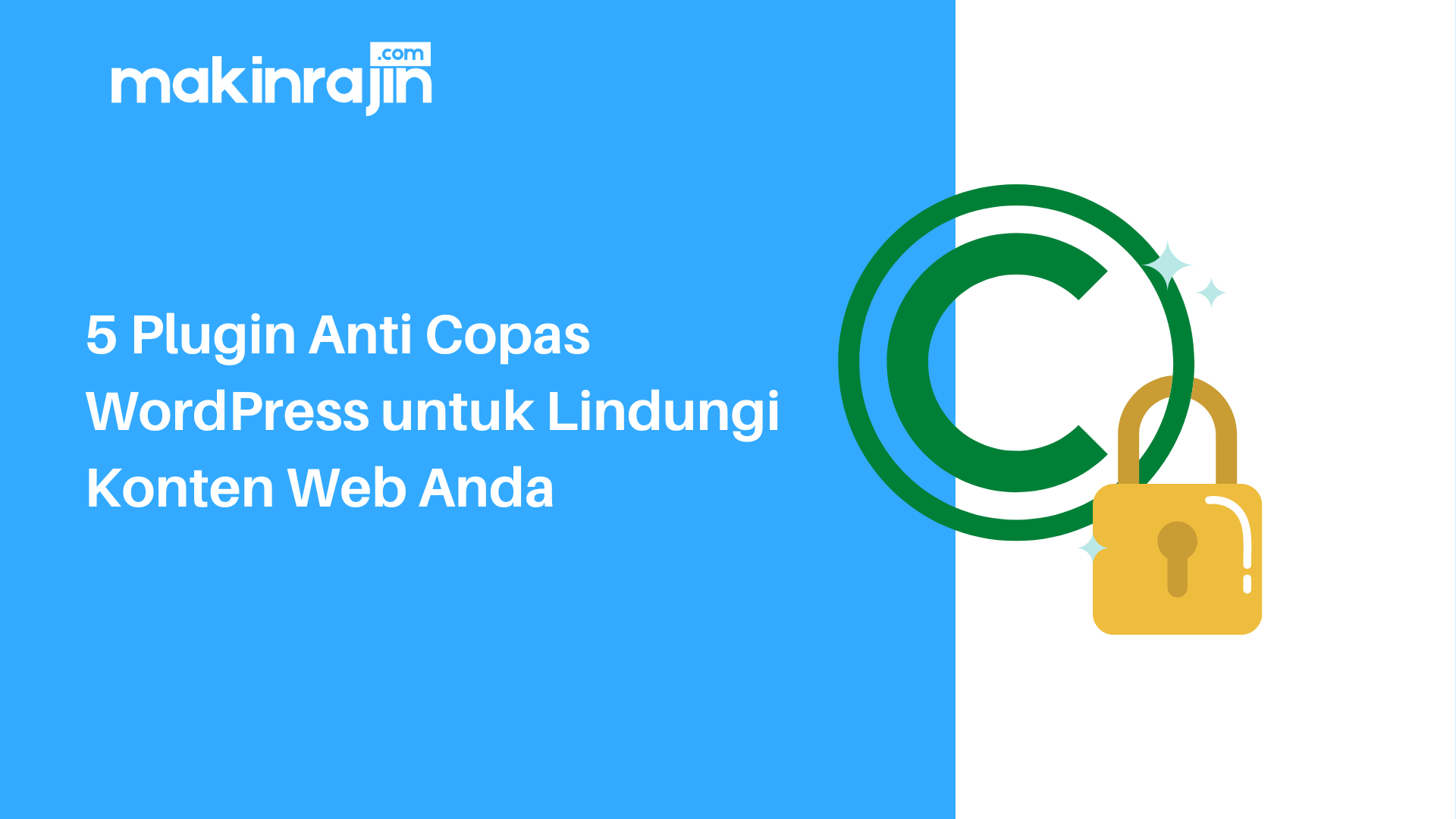 5 Plugin Anti Copas WordPress untuk Lindungi Konten Web Anda