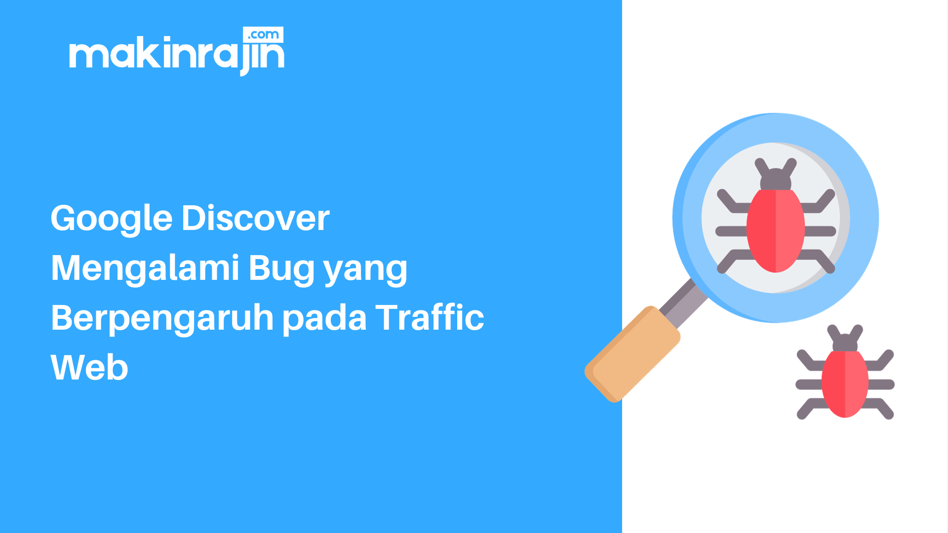 Google Discover Mengalami Bug yang Berpengaruh pada Traffic Web