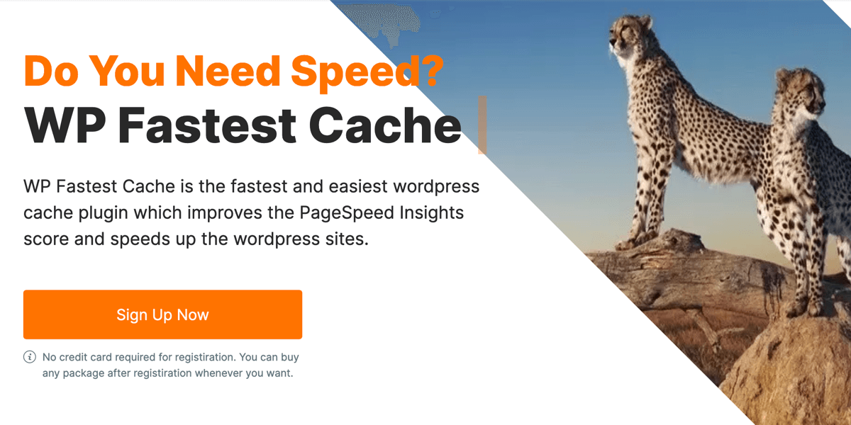 WP Fastest Cache