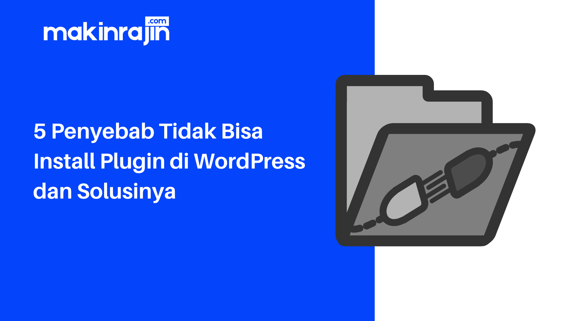 Penyebab Tidak Bisa Install Plugin di WordPress dan Solusinya